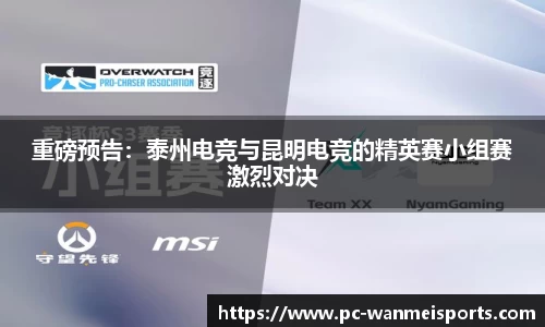 完美体育公司